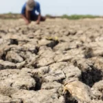 chance-de-el-nino-muito-forte-a-partir-de-setembro-sobe-para-97%,-diz-agencia-dos-eua