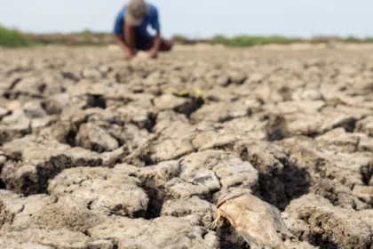 chance-de-el-nino-muito-forte-a-partir-de-setembro-sobe-para-97%,-diz-agencia-dos-eua