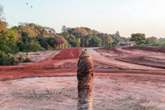 ninho-de-passaro-e-preservado-durante-pavimentacao-de-rotatoria-na-avenida-siqueira-campos-em-araguaina