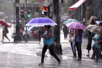 sao-paulo-deve-ter-chuva-fraca-e-temperatura-maxima-de-18°c-nesta-quarta-(16)