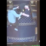 condenado-escapa-de-algemas-e-tenta-fugir-de-tribunal-nos-eua;-video