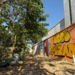 fma-leva-programacao-repleta-de-experiencias-ao-beco-da-amizade