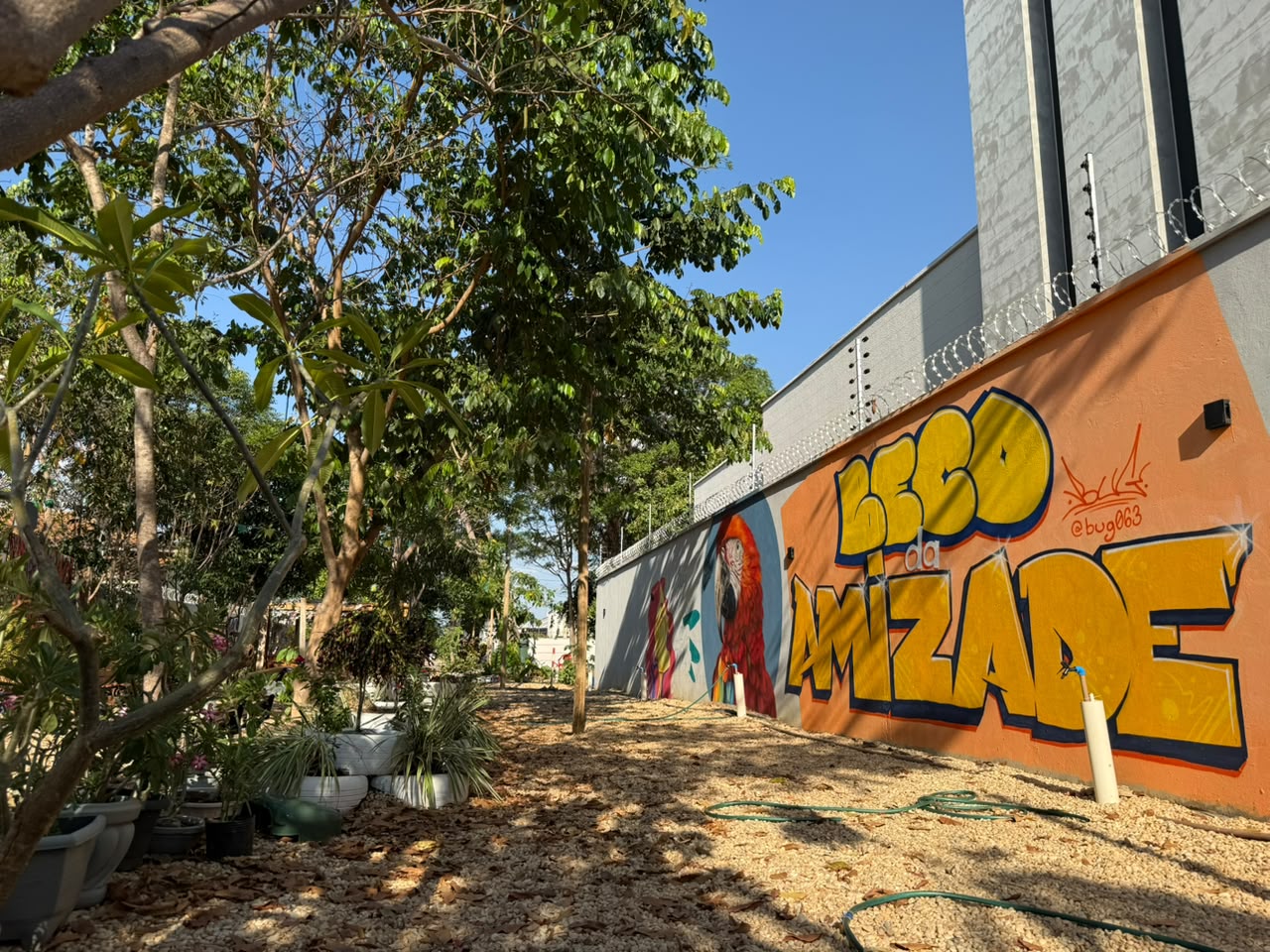 fma-leva-programacao-repleta-de-experiencias-ao-beco-da-amizade