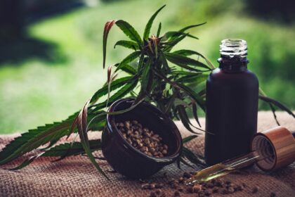 para-associacoes,-normas-ainda-deixam-pontos-em-aberto-sobre-cannabis