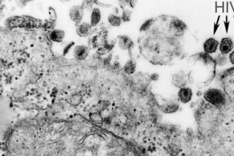 virus-htlv-1-causa-sindrome-inflamatoria-em-assintomaticos,-aponta-estudo