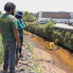 prefeitura-de-araguaina-inicia-operacao-para-conter-tilapias-invasoras-no-corrego-neblina-e-evitar-dano-ambiental-a-fauna-do-lago-azul