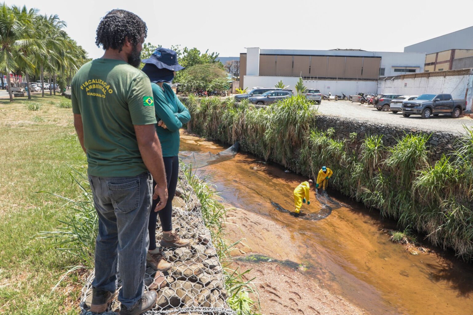 prefeitura-de-araguaina-inicia-operacao-para-conter-tilapias-invasoras-no-corrego-neblina-e-evitar-dano-ambiental-a-fauna-do-lago-azul