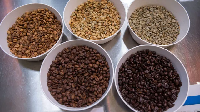 brasil-deve-colher-recorde-de-67,6-milhoes-de-sacas-de-cafe-em-2026