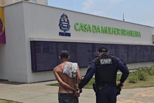 guarda-metropolitana-de-palmas-prende-homem-em-flagrante-por-descumprimento-de-medida-protetiva-no-jardim-taquari