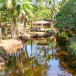prefeitura-de-araguaina-atualiza-inventario-turistico-para-mapear-potencialidades-e-fortalecer-planejamento-do-setor