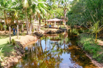 prefeitura-de-araguaina-atualiza-inventario-turistico-para-mapear-potencialidades-e-fortalecer-planejamento-do-setor