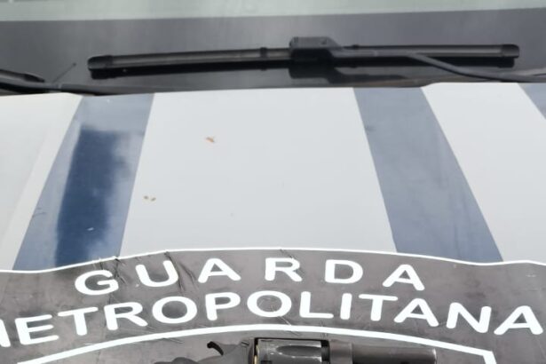 guarda-metropolitana-apreende-duas-armas-de-fogo-durante-abordagem-no-jardim-aureny-i