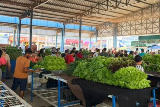 prefeitura-prepara-ordem-de-servico-para-modernizacao-da-feira-do-jardim-aureny-i