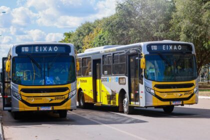 transporte-coletivo-de-palmas-tera-reforco-durante-as-eleicoes;-confira