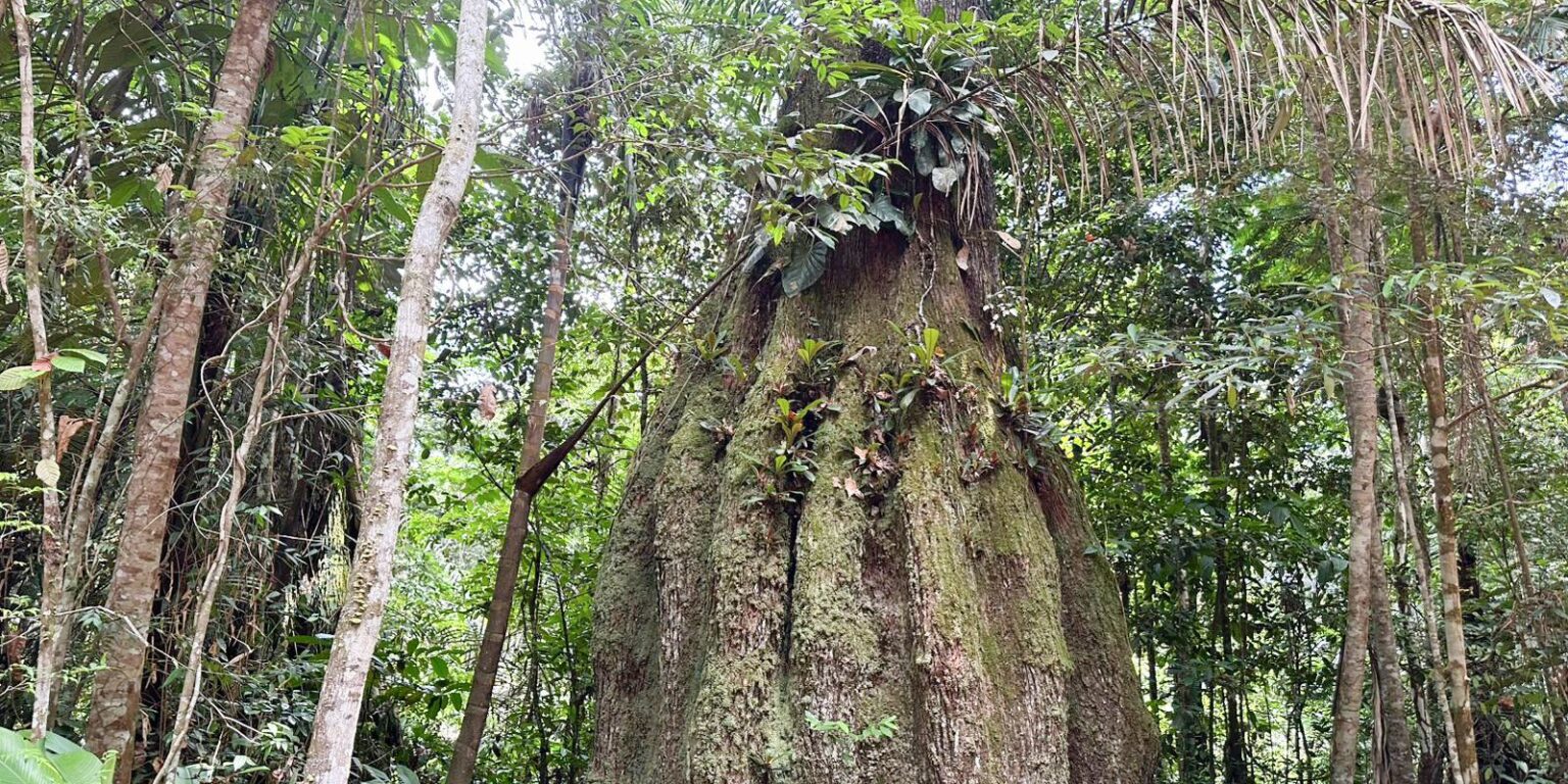 congresso-tera-sete-em-cada-dez-parlamentares-contra-agenda-ambiental