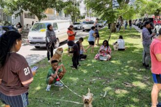 forte-terremoto-sacode-o-panama;-operacoes-do-canal-seguem-normalmente