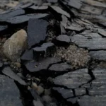 terremoto-de-8,0-atinge-o-panama,-e-alerta-por-tsunami-e-ativado