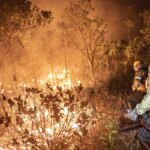 ibama-extingue-229-incendios-no-amazonas-e-segue-no-combate-ao-fogo