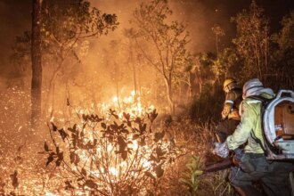 ibama-extingue-229-incendios-no-amazonas-e-segue-no-combate-ao-fogo