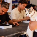 mutirao-de-castracao-do-programa-animal-de-rua-zero-entra-na-reta-final-em-taquaralto