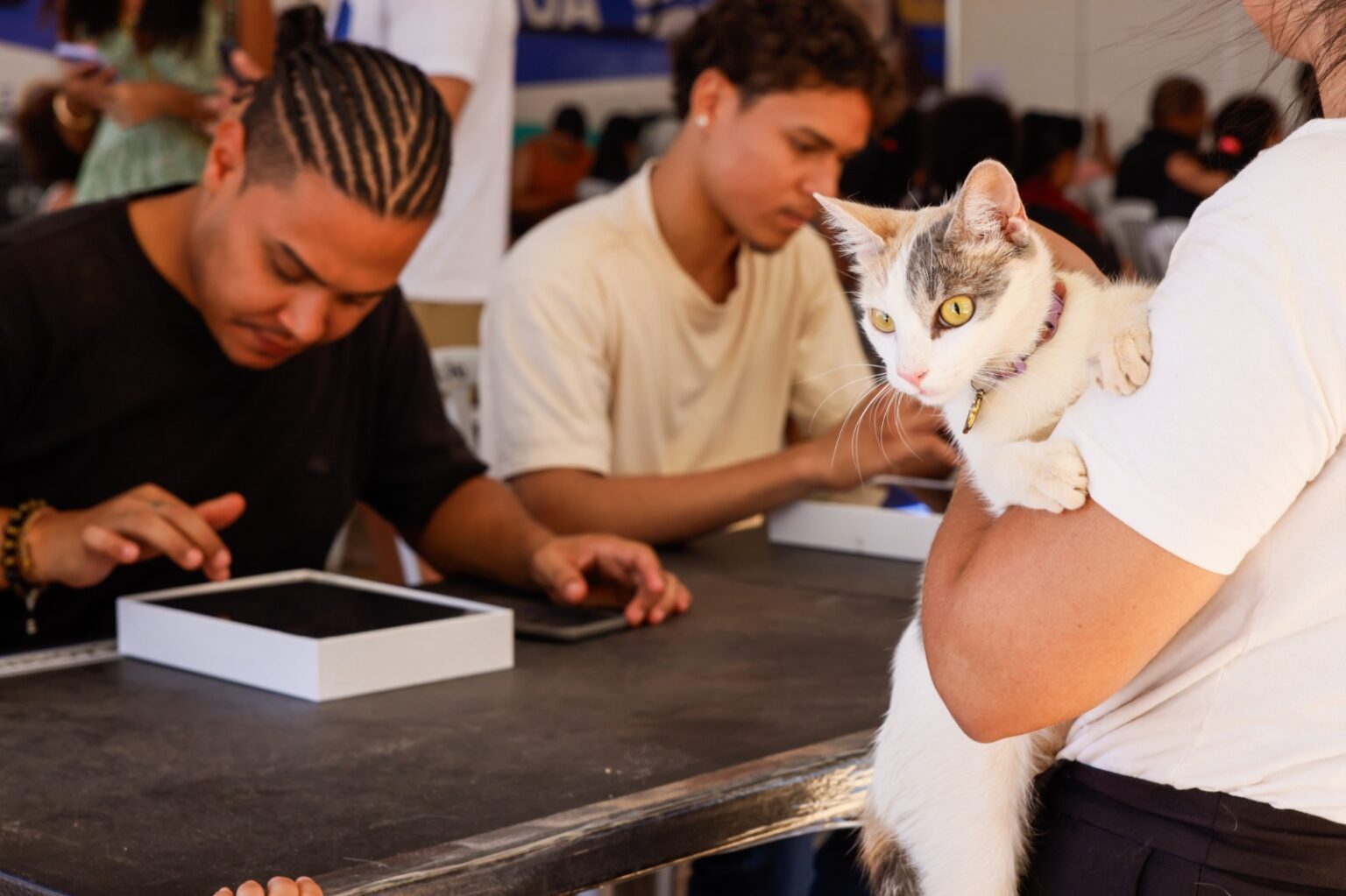 mutirao-de-castracao-do-programa-animal-de-rua-zero-entra-na-reta-final-em-taquaralto