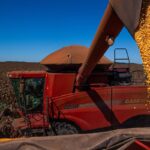 ibge-estima-safra-de-graos-recorde-em-2026:-354,5-milhoes-de-toneladas