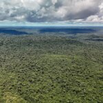 mapbiomas:-amazonia-registra-menor-nivel-de-desmatamento-em-41-anos