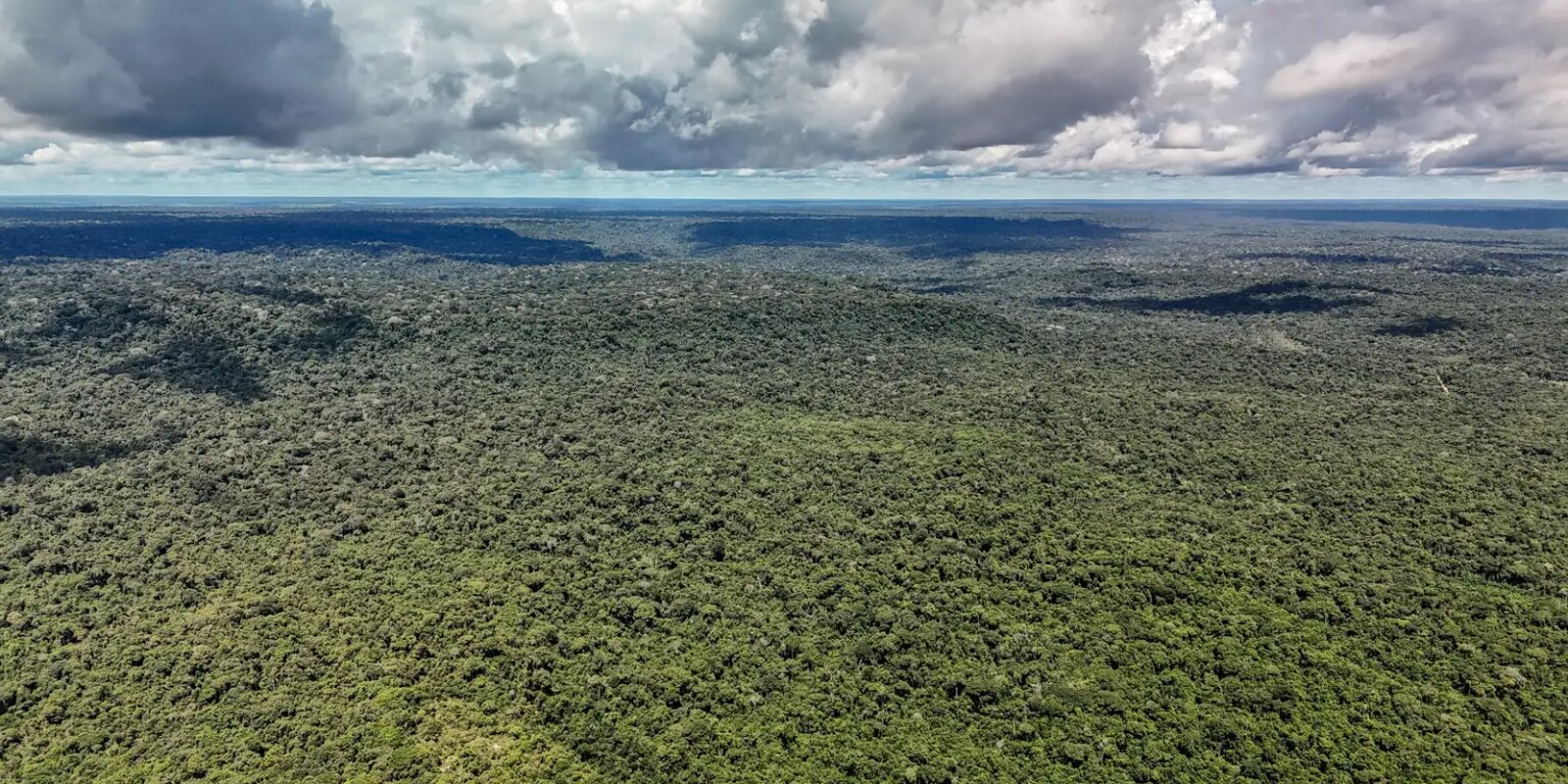 mapbiomas:-amazonia-registra-menor-nivel-de-desmatamento-em-41-anos