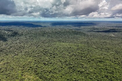 mapbiomas:-amazonia-registra-menor-nivel-de-desmatamento-em-41-anos