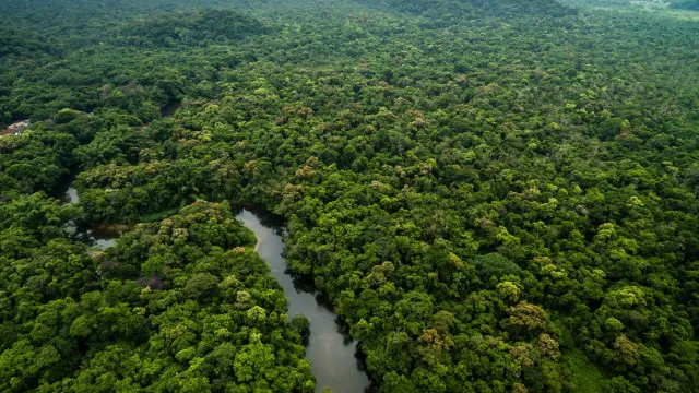 amazonia-e-cerrado-tem-menor-desmatamento-ja-registrado
