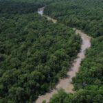 desmatamento-cai-41,8%-na-amazonia-e-23,8%-no-cerrado-em-um-ano