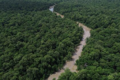 desmatamento-cai-41,8%-na-amazonia-e-23,8%-no-cerrado-em-um-ano