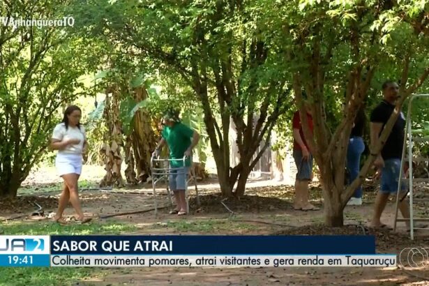 -to-de-,-17-de-outubro-de