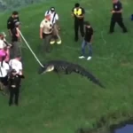 homem-de-71-anos-e-morto-por-jacare-quando-pescava-na-margem-de-lago