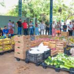araguaina-investe-r$-740-mil-na-compra-de-alimentos-da-agricultura-familiar-para-instituicoes