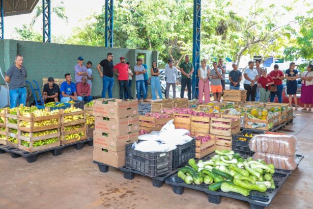 araguaina-investe-r$-740-mil-na-compra-de-alimentos-da-agricultura-familiar-para-instituicoes