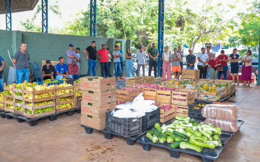 araguaina-investe-r$-740-mil-na-compra-de-alimentos-da-agricultura-familiar-para-instituicoes