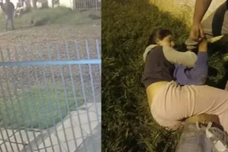 menina-de-14-anos-imobiliza-ladrao-com-mata-leao-por-15-minutos-apos-ele-invadir-sua-casa