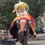 video:-elefante-se-assusta-em-festival-na-india-e-provoca-panico-geral