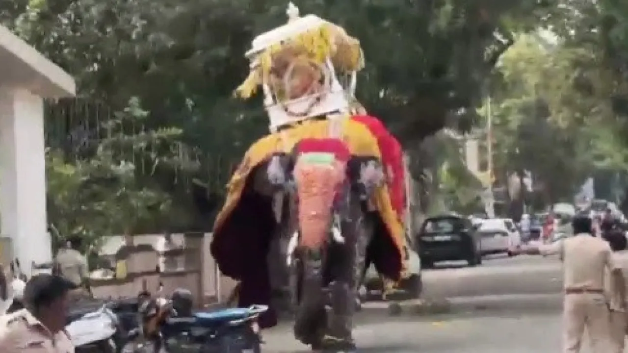 video:-elefante-se-assusta-em-festival-na-india-e-provoca-panico-geral