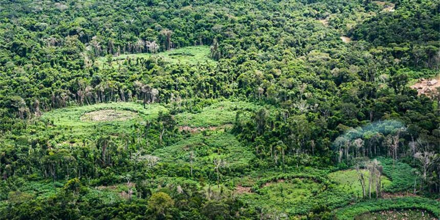 plataforma-pan-amazonica-reune-232-politicas-publicas-para-bioeconomia