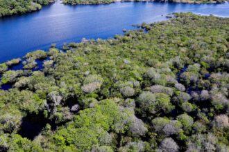 desmatamento-em-areas-protegidas-da-amazonia-e-do-cerrado-tem-queda