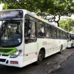 onibus-de-graca-aos-fins-de-semana:-quando-comeca-e-quem-tera-direito?