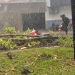 chuva-com-ventos-fortes-derruba-arvores-e-provoca-estragos-em-araguaina;