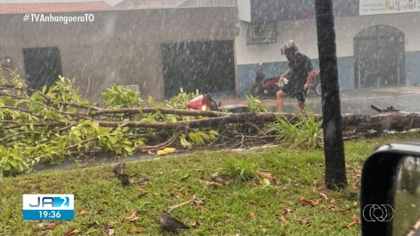 chuva-com-ventos-fortes-derruba-arvores-e-provoca-estragos-em-araguaina;