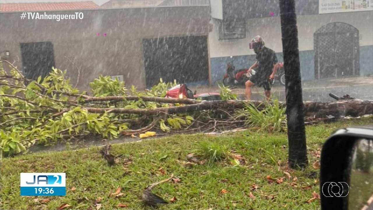 chuva-com-ventos-fortes-derruba-arvores-e-provoca-estragos-em-araguaina;