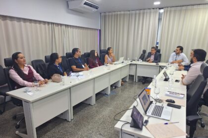 desenvolvimento-social-de-palmas-discute-politica-antimanicomial-em-reuniao-do-judiciario-no-tocantins