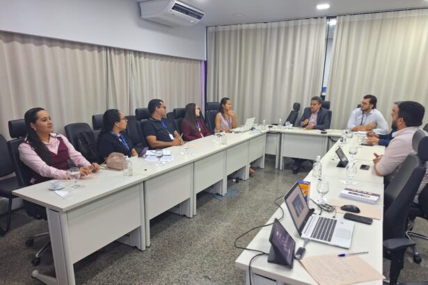 desenvolvimento-social-de-palmas-discute-politica-antimanicomial-em-reuniao-do-judiciario-no-tocantins