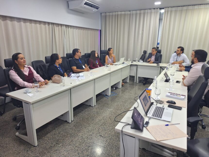 desenvolvimento-social-de-palmas-discute-politica-antimanicomial-em-reuniao-do-judiciario-no-tocantins