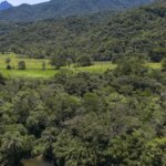 brasil-diminui-em-43%-area-de-vegetacao-nativa-fragmentada